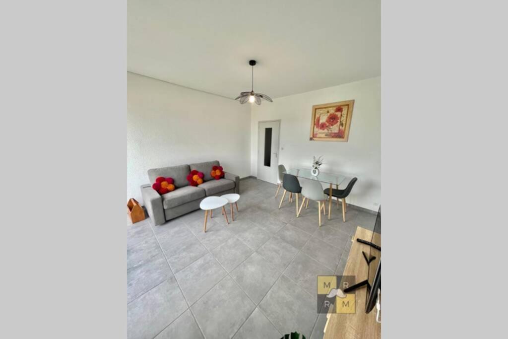 Bord D'Aude Parking Privatif Proche Cite Medievale Carcassonne Exterior photo
